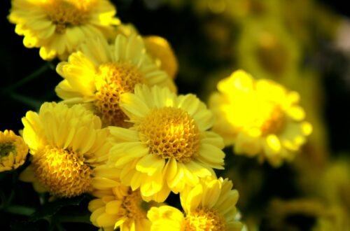 여름철 쿨링 뷰티템 핵심 성분 비교 정리