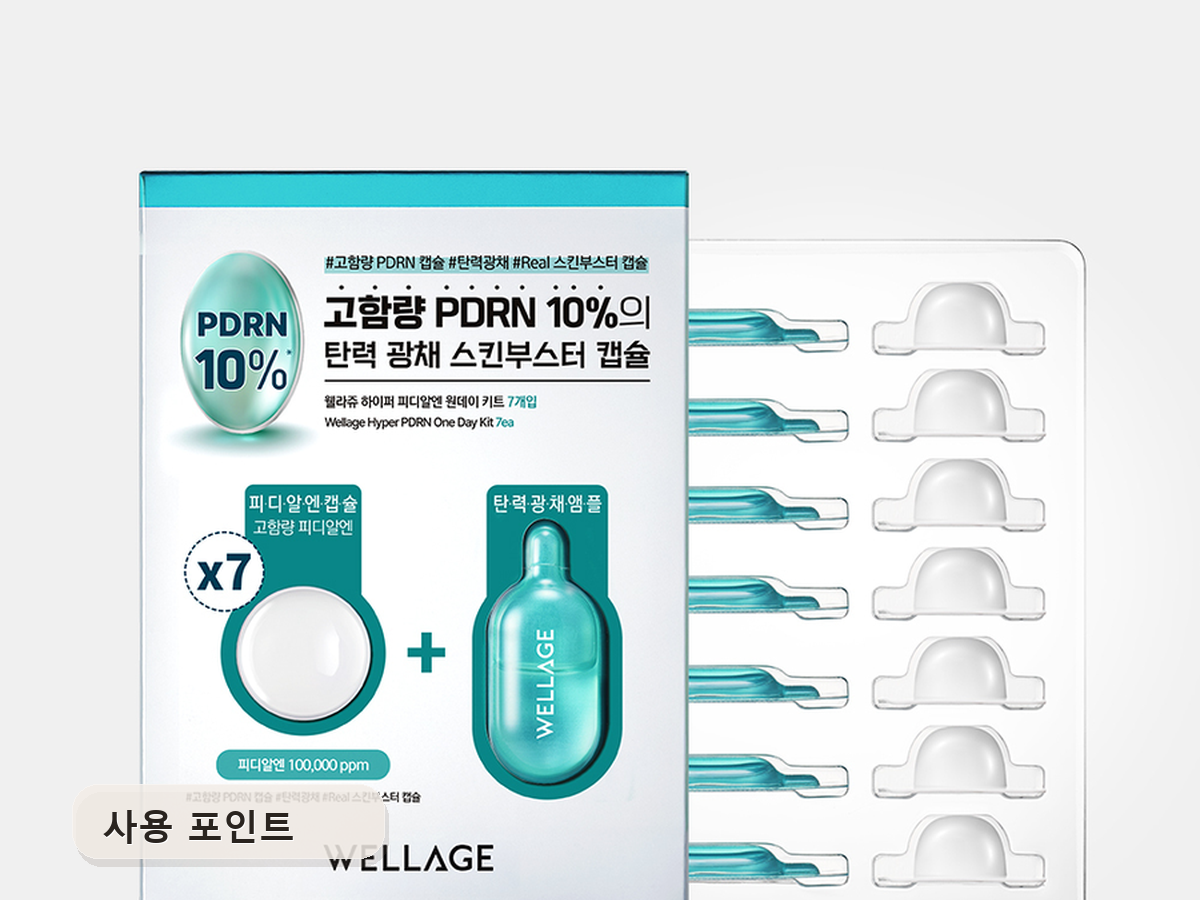 사용 포인트