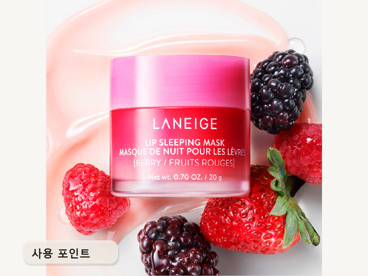 사용 포인트