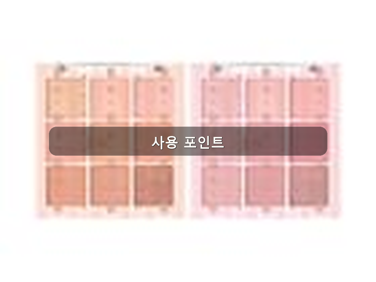 사용 포인트